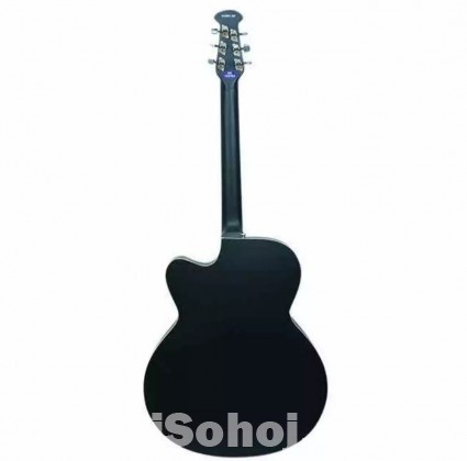 Semi Electric Signature Guitar Ragu-Black